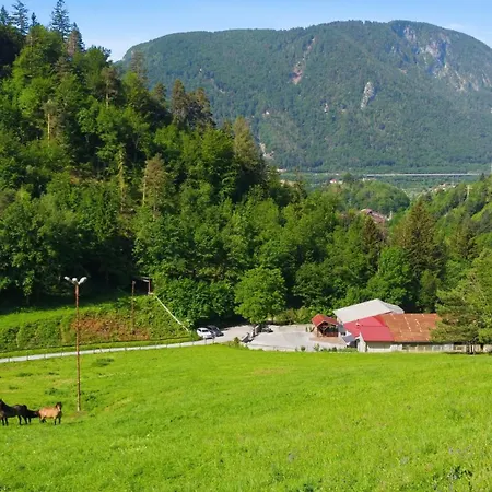 Angel's Nest With Sauna And Fitness Apartmán