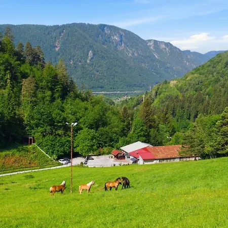 Apartmán Angel's Nest With Sauna And Fitness