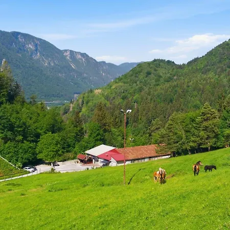 Angel's Nest With Sauna And Fitness